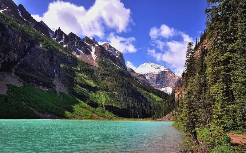 创新可靠性