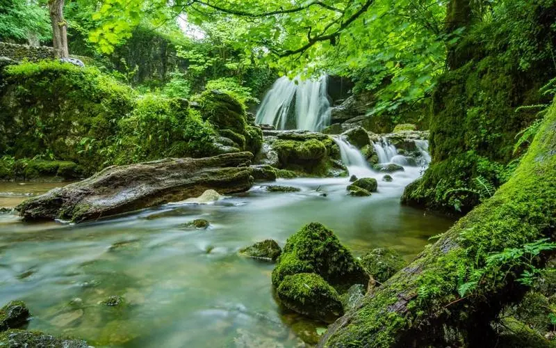 高效高标准高性能